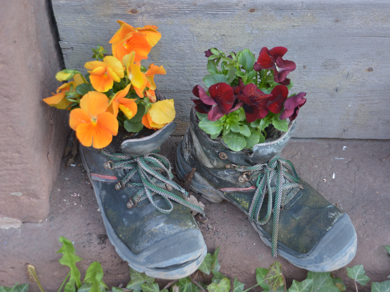 Im Eingang stehen immer liebevoll bepflanzte Schuhe. Jetzt im Frühling leuchten hier bunt die Stiefmütterchen.