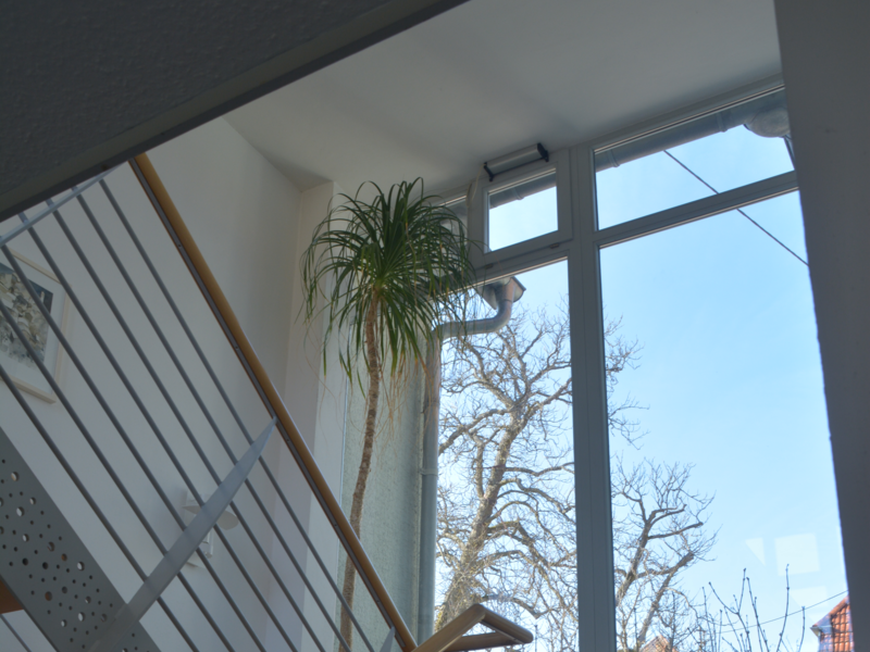 Hell und freundlich wirkt der Treppenaufgang im Rathaus Neuhengstett. Auf dem Absatz steht eine lange Yucca-Palme.