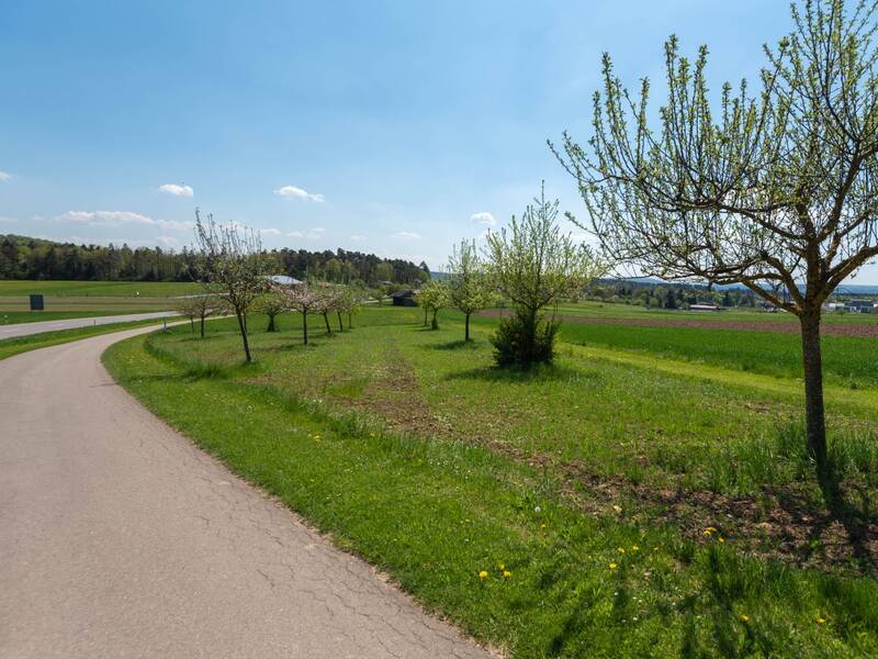 Der Feldweg am Stiftungsgarten führt nach Neuhengstett und zu Sesslers Mühle etwas außerhalb