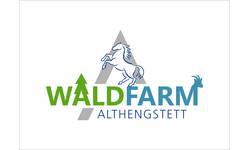 Zu sehen ist in grün-bluer schrift WaldFarm. Im Hintergrund der Hengst und der Buchstabe A vom Alhengstetter Logo