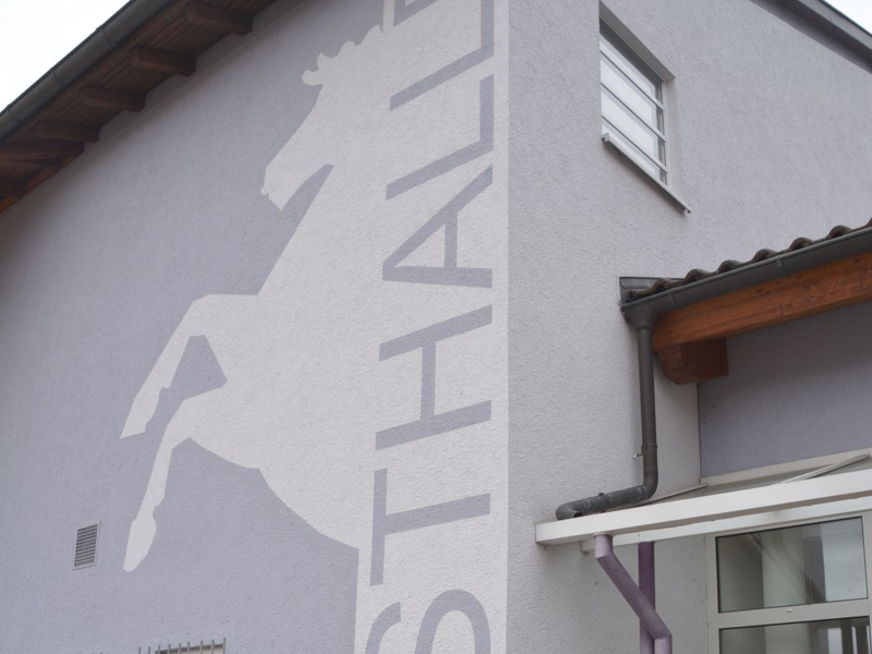 Das Hengstetter Pferd ziert den Eingang zur Festhalle in Althengstett.