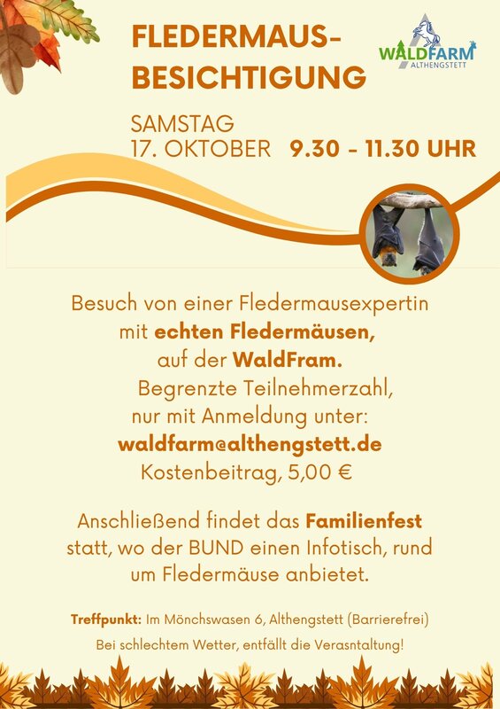 Fledermausbesichtigung 17 Oktober