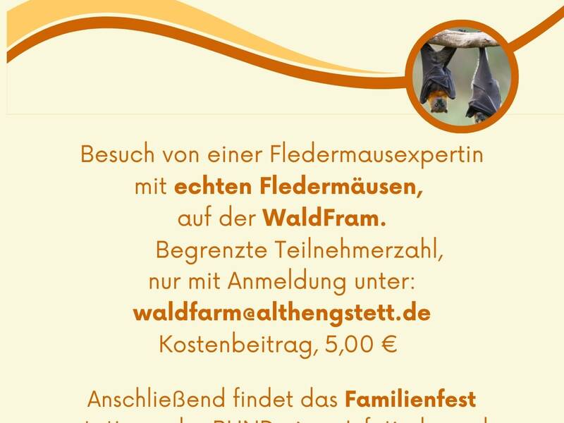 Fledermausbesichtigung 17 Oktober