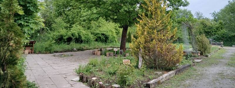 Waldfarm Mitte