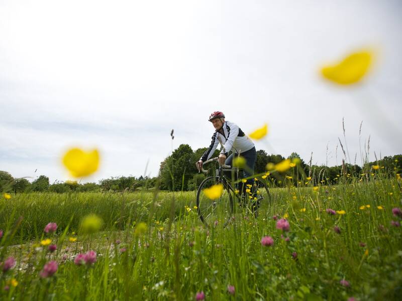 Radfahrer auf einer Sommerwiese